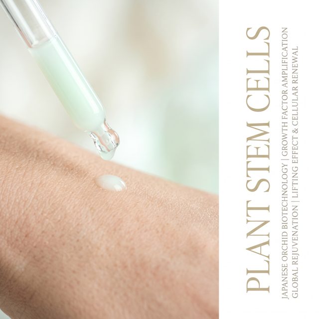 Plant Stem Cells